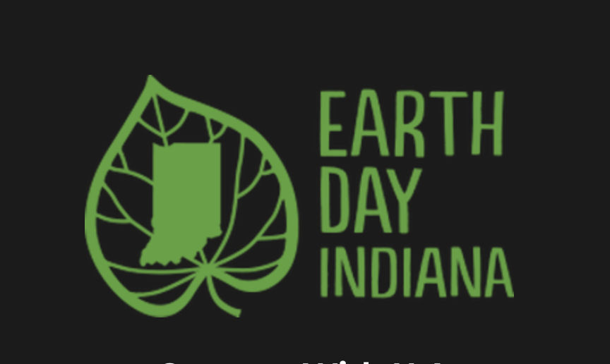 Sunlit forest path — replace with your Earth Day festival photo